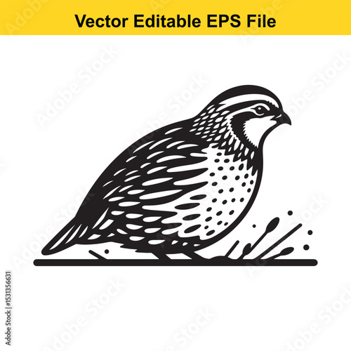 A black and white vector illustration of a quail bird
