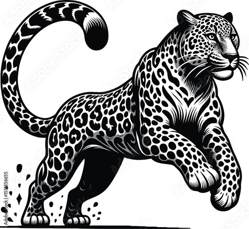 A real Vector illustration clipart Leopard
