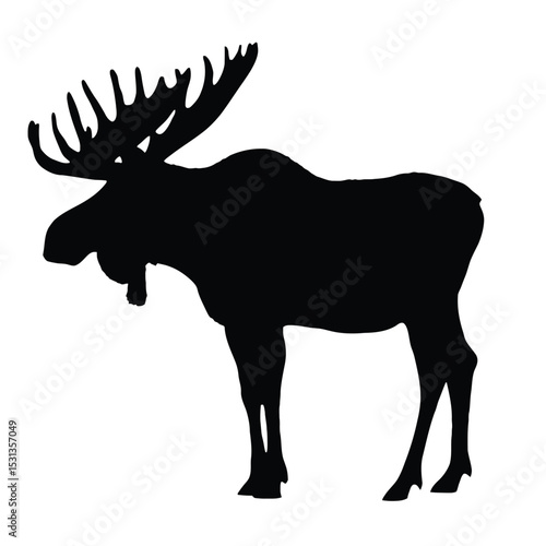 Black Silhouette of a Moose with Large Antlers white background