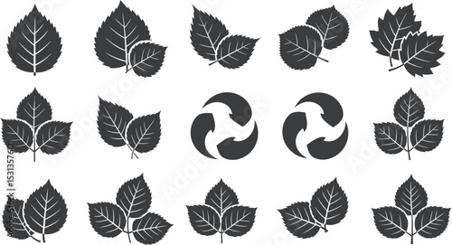 A collection of diverse tree silhouettes isolated on a white background showcasing various tree types