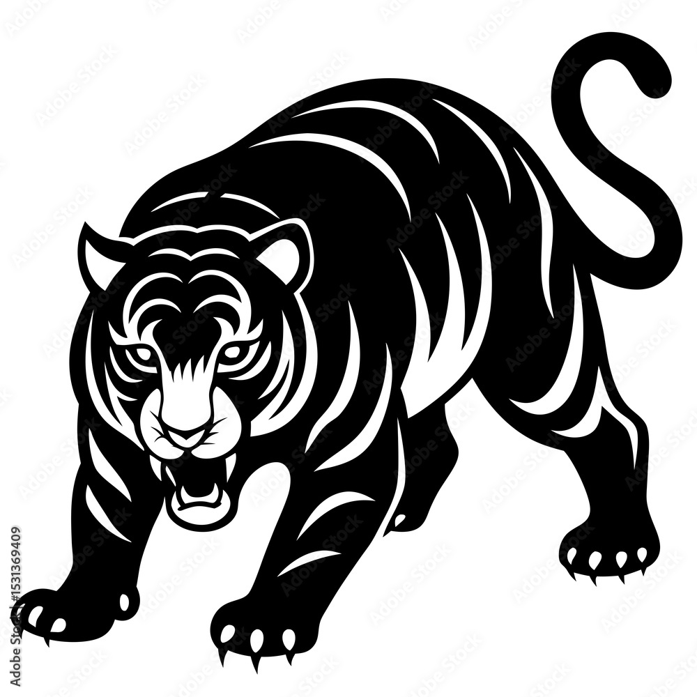 Crouching tiger ready to pounce Crouching tiger ready to pounce