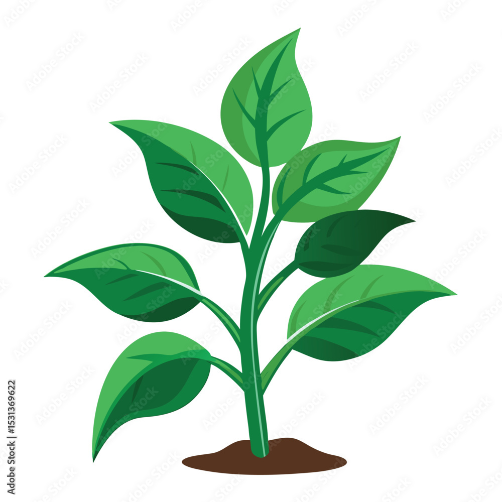 Fototapeta premium indoor plant on white background