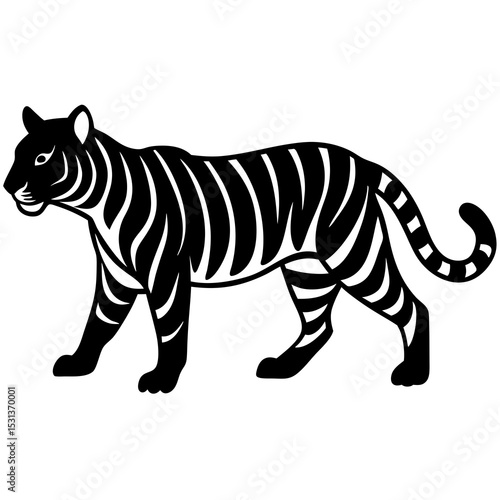 Tiger walking with stripes indicated