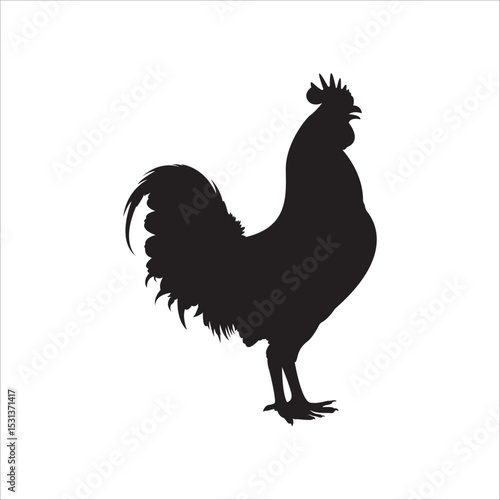 Vector silhouette of a standing chicken. Perfect for farm logos, vintage designs, countryside themes, animal icons, and rural illustrations.