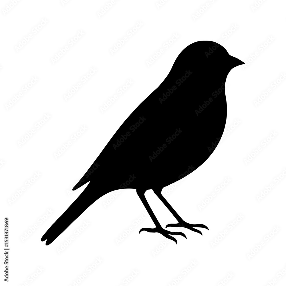 Obraz premium Canary Bird Silhouette Image – Vector Illustration on Transparent Background