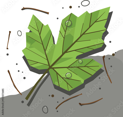 Green Maple Leaf Vector Illustration with Natural Debris and Shadows on Ground 