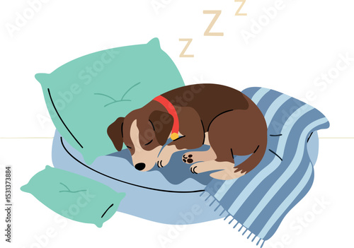 Sleeping brown dog curled up on blue striped blanket with green pillows vector illustration 