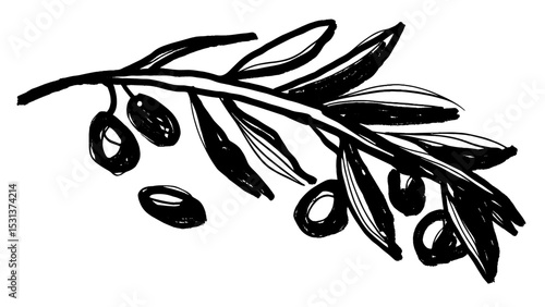 Hand-drawn olive branch with olives in sketch style  