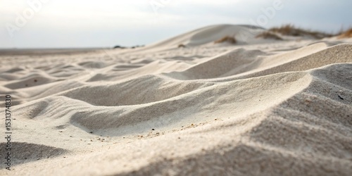 Windblown Sand Texture – Desert Dunes Surface