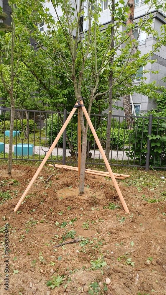 Fototapeta premium park