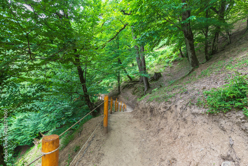 Mountain path to the Shirha...