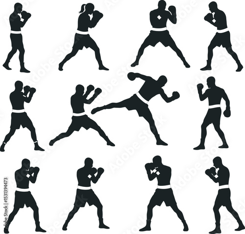 Boxing Silhouette Collection Vector White Color Background