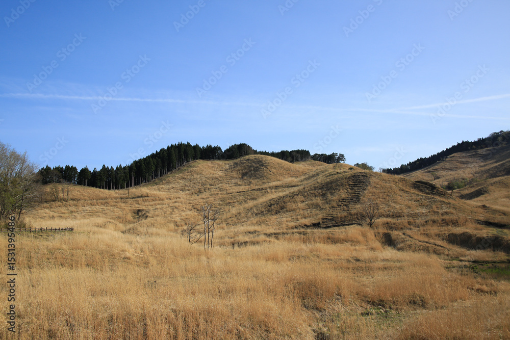 Fototapeta premium 兵庫県神河町 砥峰高原の風景