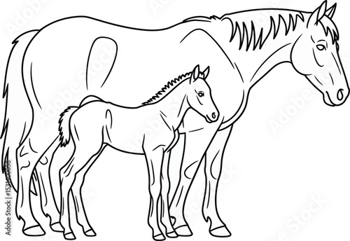 A mare and her foal standing side by side, showcasing their bond.