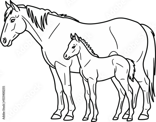 A mare and her foal stand side by side, showcasing the bond between mother and child in the equine world.