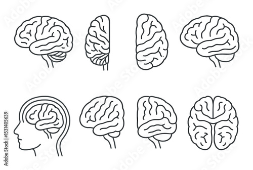 Brain diagram set. anatomy linear icons. brain, neuroscience, head, human, anatomy, education vector icons.