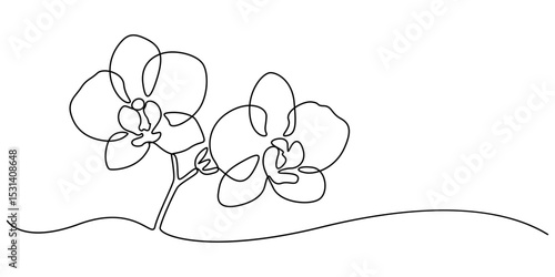 Hand drawn orchid flowers. One line drawing. Minimalist art, Phalaenopsis flower one line art. Continuous line drawing of plants, herb, flower, blossom, nature, flora, tropical flowers, orchid.