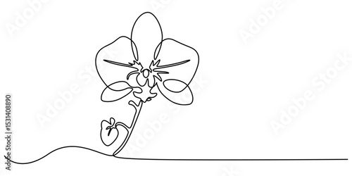 Hand drawn orchid flowers. One line drawing. Minimalist art, Phalaenopsis flower one line art. Continuous line drawing of plants, herb, flower, blossom, nature, flora, tropical flowers, orchid.