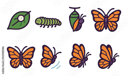 Butterfly lifecycle set. nature insect silhouette icons: leaf, caterpillar, chrysalis, butterfly vector icons.