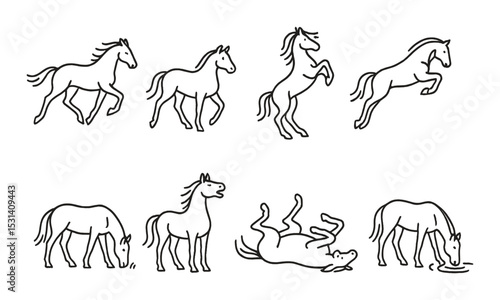 Horse icon set. equestrian activities silhouette horses. gallop, jump, trot vector icons.