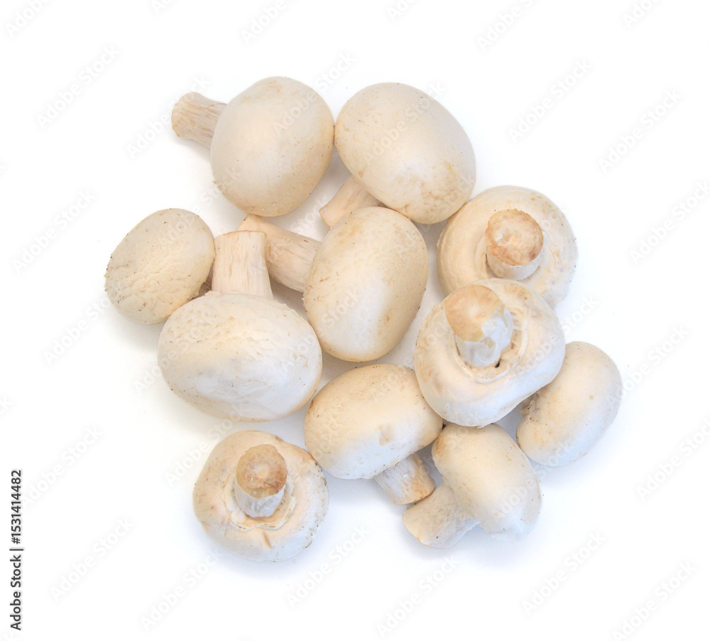 Edible button mushroom isolated on white background Edible button mushroom isolated on white background