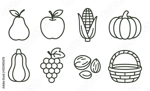 Fruit and vegetable set. harvest basket, pear, apple, corn, pumpkin, nuts, grape linear vector icons.