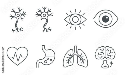 Organ icon set. medical silhouette symbols: neuron, eye, heart, stomach, lungs, brain vector icons.
