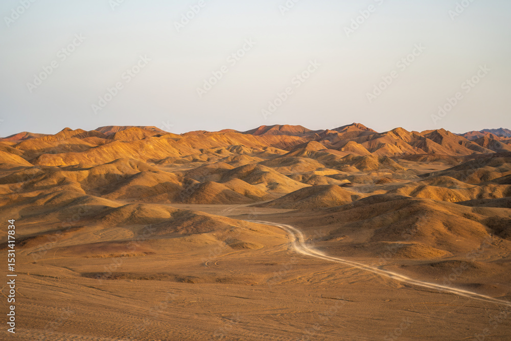 Fototapeta premium A serene view of rolling desert hills illuminated by warm sunlight under a calm, clear sky. The scene captures the vastness and tranquil beauty of the Egyptian desert landscape.