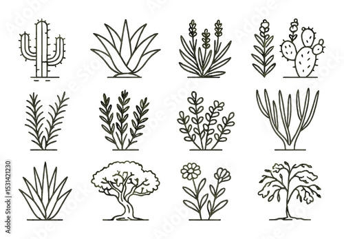 Succulent and plant set. botanical silhouette cactus, aloe, lavender, herb vector icons