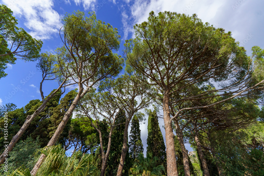Fototapeta premium The Public Garden Taormina is a beautiful park which was originally inhabited by the Scottish noblewoman Lady Florence Trevelyan in Taormina on Sicily, Italy