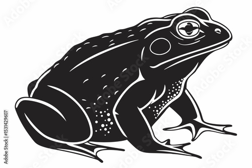 african bullfrog sihouette black vector 