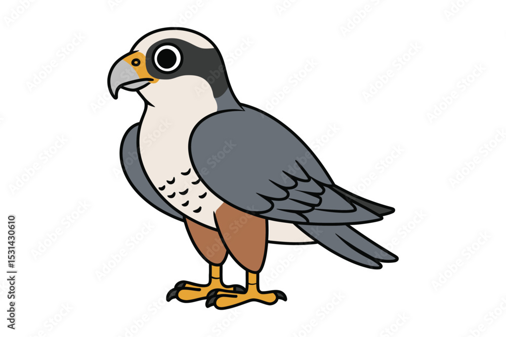 Obraz premium Falcon bird vector illustration
