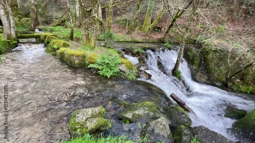 Tranquil Waterfall in a Mossy Forest in Northern Portugal