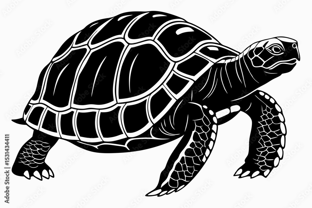 Fototapeta premium aldabra tortoise sihouette black vector