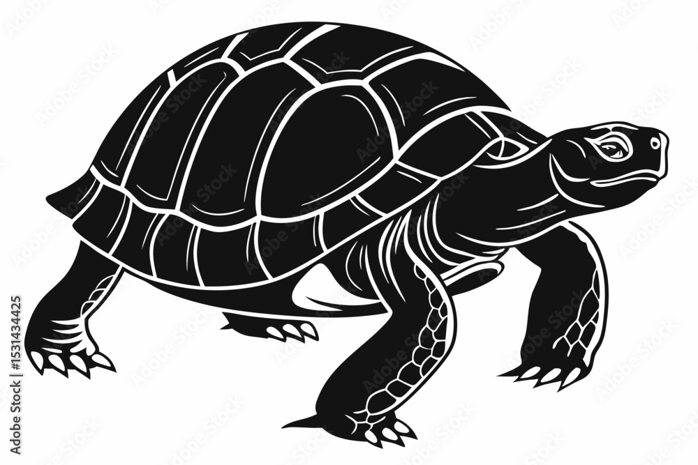 Fototapeta premium aldabra tortoise sihouette black vector