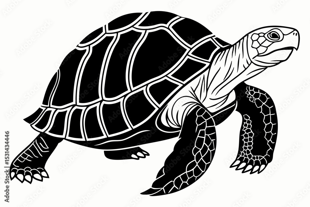 Fototapeta premium aldabra tortoise sihouette black vector