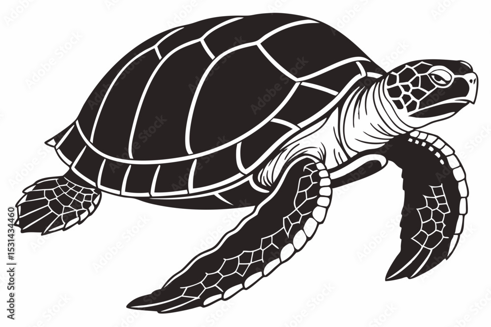Fototapeta premium aldabra tortoise sihouette black vector