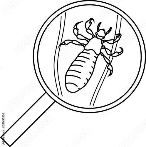 Coloring page with nymph head louse (Pediculus humanus) under magnifying glass isolated on white background. Lice check