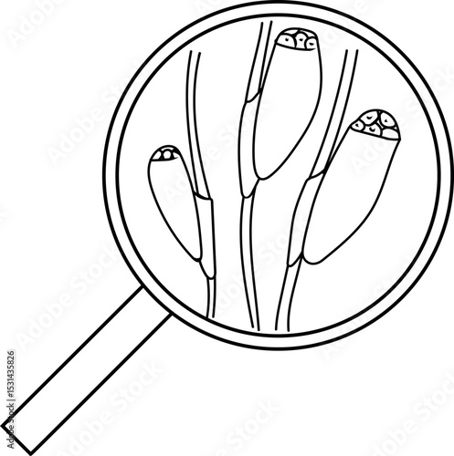 Coloring page with head louse egg (nit) attached to a hair under magnifying glass isolated on white background. Lice check