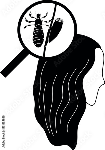 Black silhouette of nymph head louse (Pediculus humanus) and egg (nit) attached to hair under magnifying glass isolated on white background. Lice check