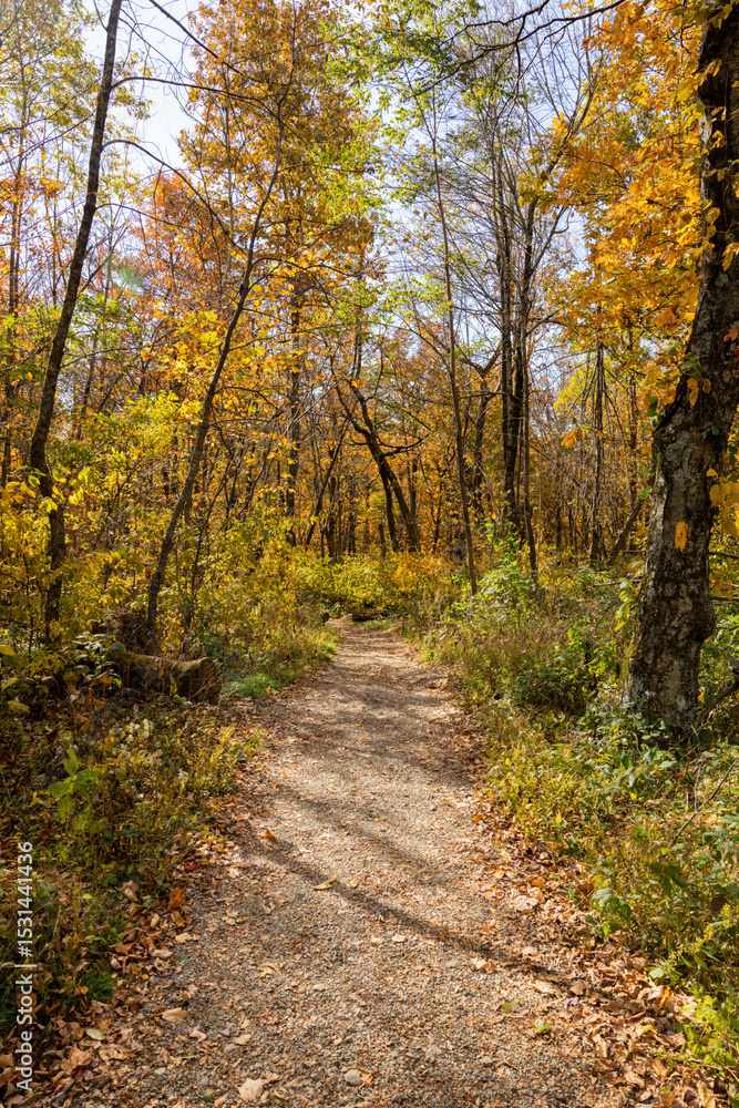 New England Autumn Colors Traveling Pathway New England Autumn Colors Traveling Pathway