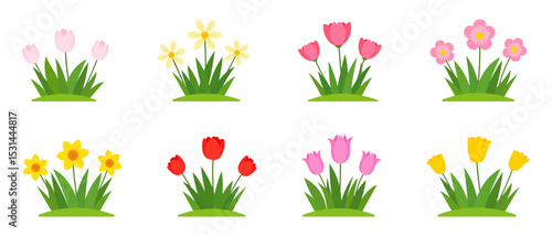 Set Of Vector Flat Flowers In Green Grass, Isolated On White Background. Vector Illustration