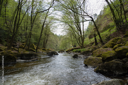 Green Woods