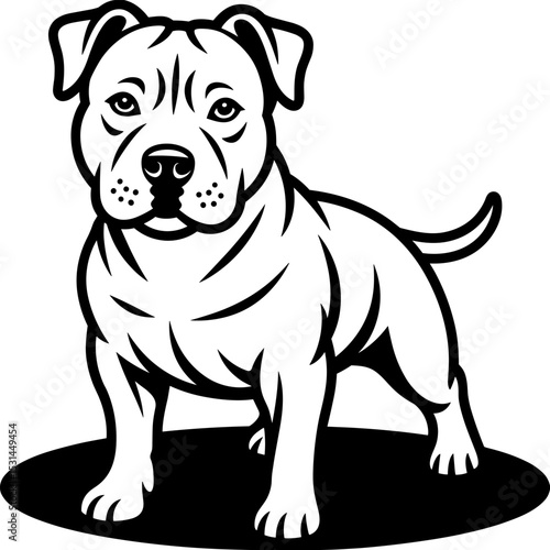 American Staffordshire Terrier
