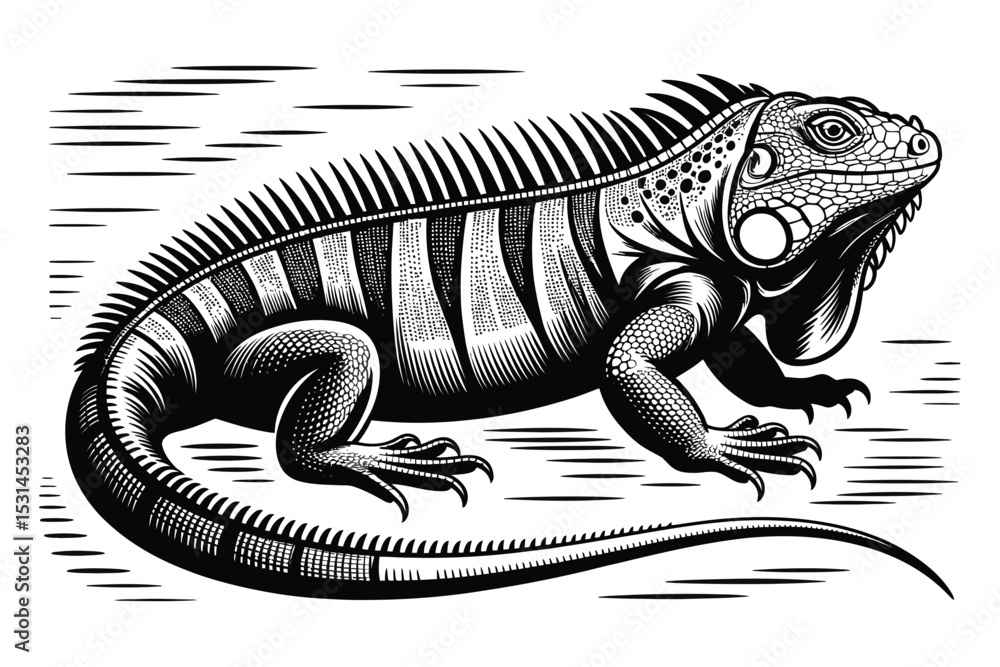 Obraz premium iguana vector illustration