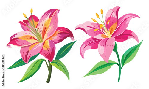 Vibrant Pink Stargazer Lily Flower Vector Illustrations - Elegant Floral Design