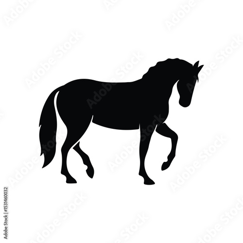 horse silhouette isolated on white, 