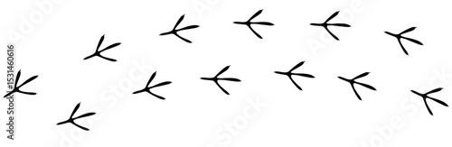 Bird footprint chicken foot track, feet print, paw step hand drawn doodle. Sketch simple turkey, hen trail. Crow walk steps mark.