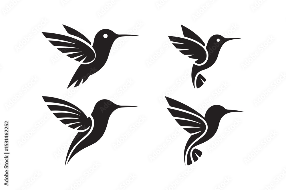 Obraz premium Hummingbird Flight Silhouettes