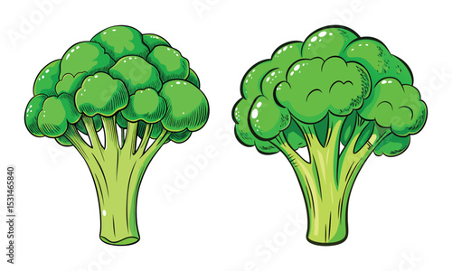 Fresh Green Broccoli Florets Cartoon - Healthy Vegetable Illustration